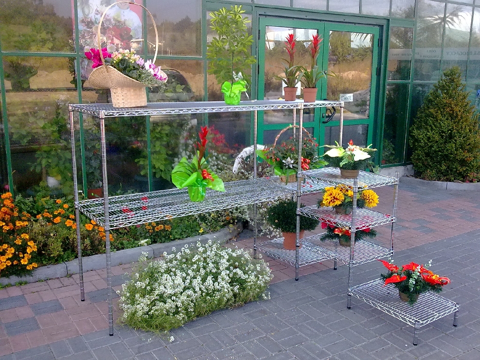 Projekt Ultra Power — Kwiaciarnie — zdjęcie 11